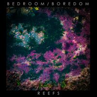 Bedroom/Boredom - Reefs