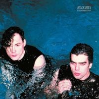 The Associates - Fourth Drawer Down