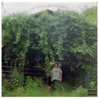 MNTN - new pain