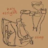 Skimp - hey alright