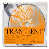 Alfredo92 - Transient