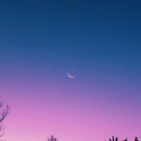 TV Torrance - MOON