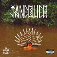Brisa Flow - Janequeo