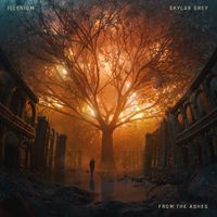 ILLENIUM - From The Ashes