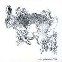 Genevieve Stokes - Habits