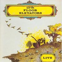 The 13th Floor Elevators - Live
