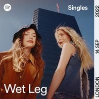Wet Leg - Spotify Singles