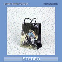 Street Smart Cyclist - Discography