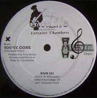 Bassline - You've Gone