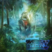 PassCode - Strive