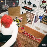 DC THE DON - Zombieland