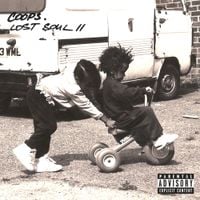 Coops - Lost Soul 2