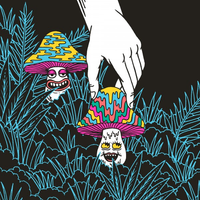 Grateful Dead - In and Out of the Garden: Madison Square Garden &rsquo;81, &rsquo;82, &rsquo;83