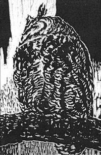 Owl's Blood - Lunar Equilibrium