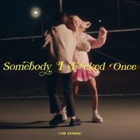 Zolita - Somebody I F*cked Once (The Extras)