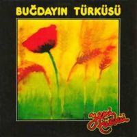 Yeni T&uuml;rk&uuml; - Buğdayın T&uuml;rk&uuml;s&uuml;