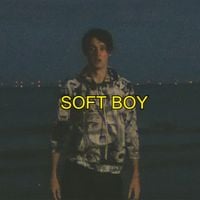 Wilbur Soot - Soft Boy