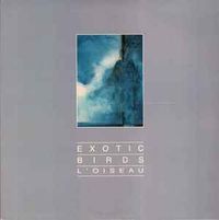 Exotic Birds - L'oiseau