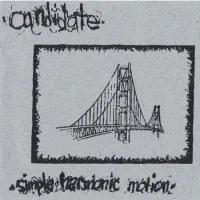 Candidate - Simple Harmonic Motion