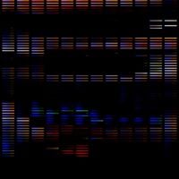 tdstr - Slideshow of