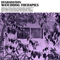 Watchdog Therapies - Degradation