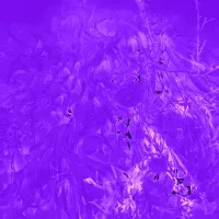 Roxy Radclyffe - Stayyuiesdfe~====~~