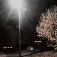 KINREK - timestamp vol. III: b1 g1