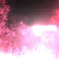 KINREK - cluster 1