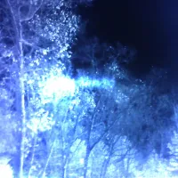 KINREK - cluster 3