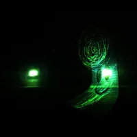 KINREK - questional degeneration