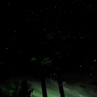 KINREK - the greens vol. II: c-cap proj