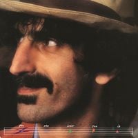 Zappa - You Are What You Is