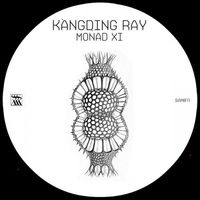 Kangding Ray - Monad XI