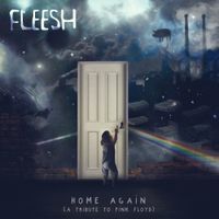Fleesh - Home Again (A Tribute to Pink Floyd)