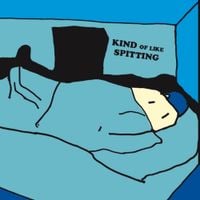 Kind Of Like Spitting - One Hundred Dollar Room