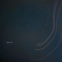 Breasts - Breasts