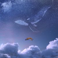 Iday - Soaring 2