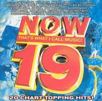 Various Artists - Now That's What I Call Music! 19