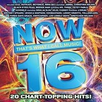 Various Artists - Now That's What I Call Music! 16