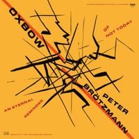 Oxbow & Peter Br&ouml;tzmann - An Eternal Reminder of Not Today - Live at Moers