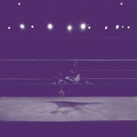 Robert Takahashi Novak - Ritual Variations