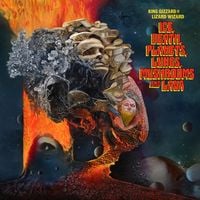 King Gizzard & The Lizard Wizard - Iron Lung