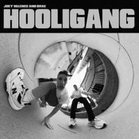 Joey Valence & Brae - HOOLIGANG