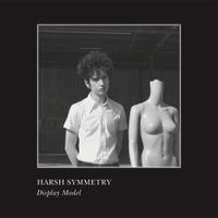 Harsh Symmetry - Display Model