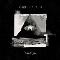 Alice in Chains - Never Fade