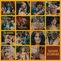 Panic! at the Disco - Sugar Soaker