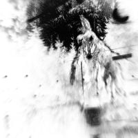 dankpotato666.v2 - Roaming the Chaotic Area of Moldy Mist