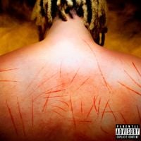 WIU - Felina