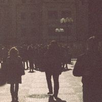 Stray Fossa - Commotion