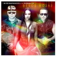 Wisin & Yandel & ROSAL&Iacute;A - Besos Moja2